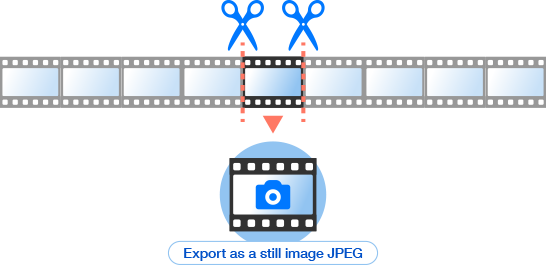 Export Stills
